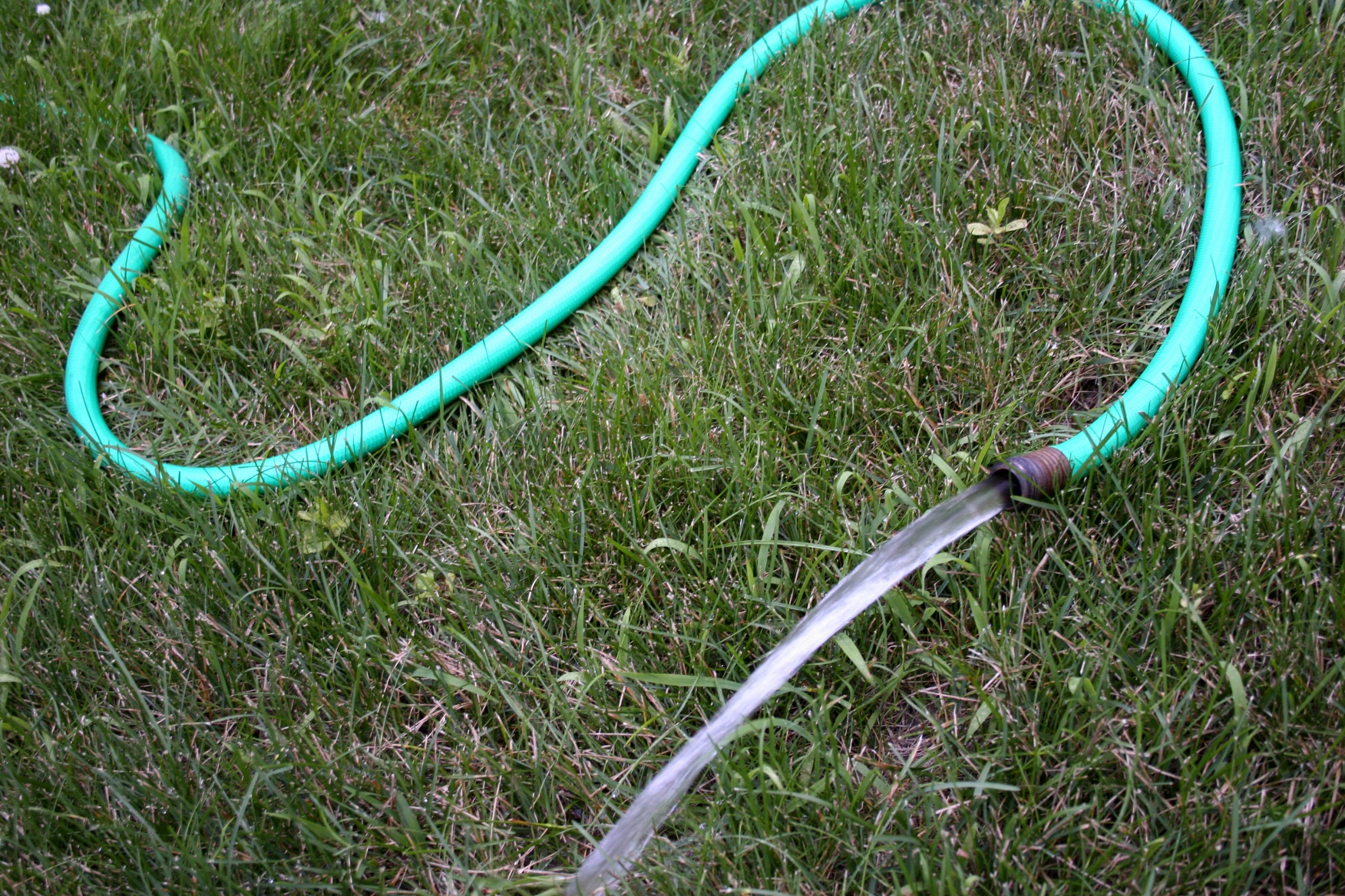 garden-hose1.jpg