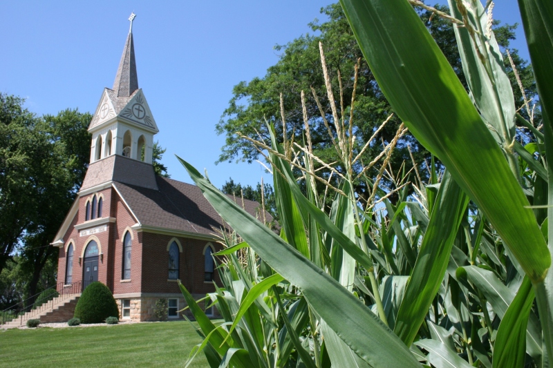 Cornfields snuggle up to one side of Vista's church yard. It's the most beautiful of settings.