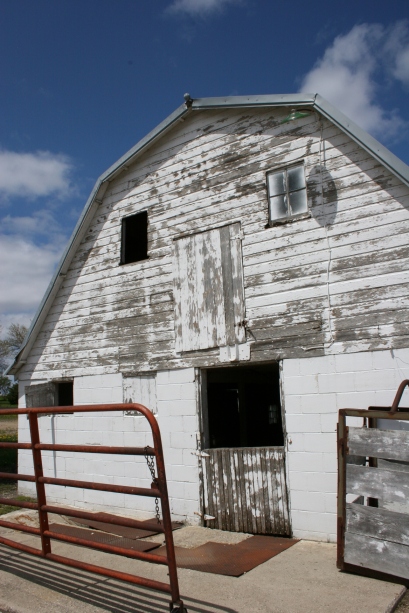 The barn where I labored alongside my father while growing up on the southwestern Minnesota prairie. File photo.