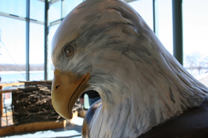 Art, eagle head 2