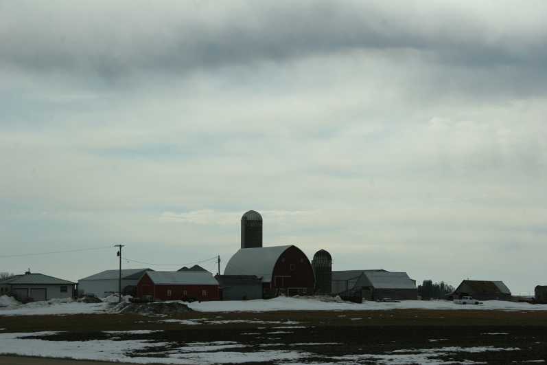 Rural Minnesota, red barn and red building