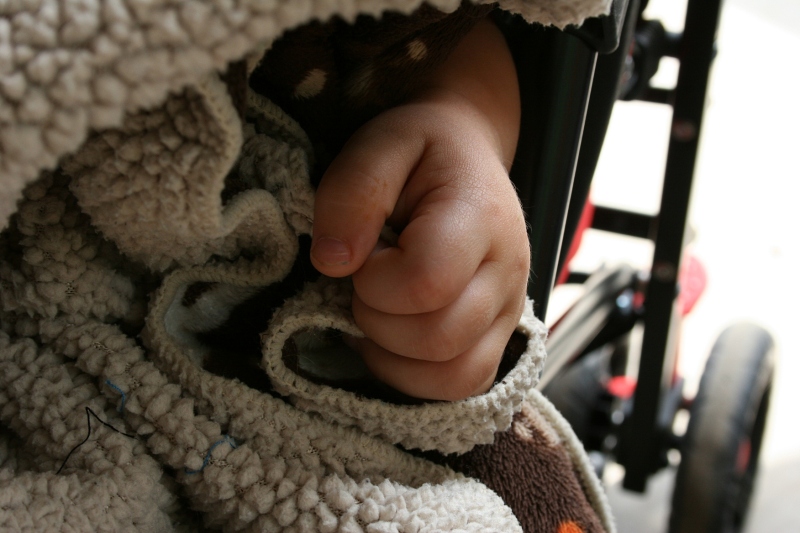 The sweet hand of my 18-month-old great nephew, Aston, as he naps in his stroller.