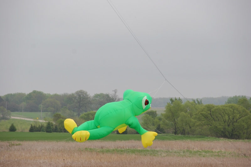 As we toured the grounds, this frog kite began to ascend.