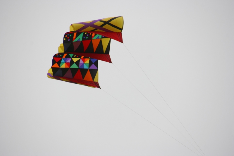 One of two kites spotted upon arriving at Forest City.