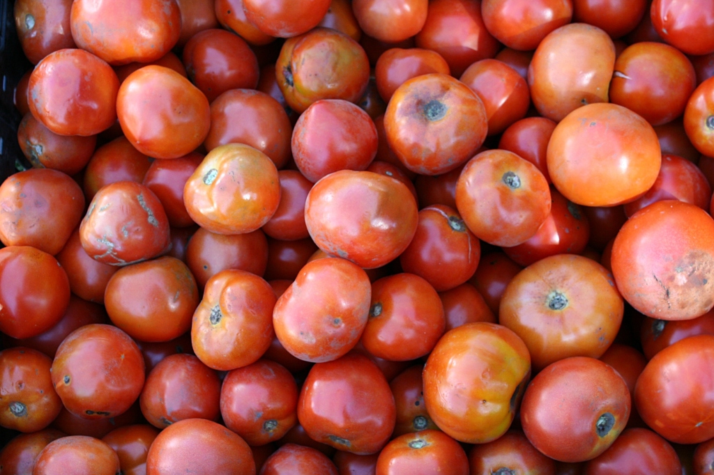 According to several vendors, the tomatoes were not that great this growing season. However, an abundance of them is available at the market.