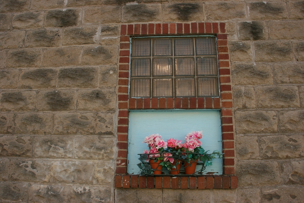 Even this window is incorporated into the garden with a windowbox.