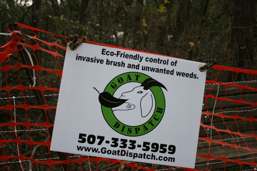 This sign was posted on a fence enclosing Goat Dispatch goats at River Bend. Minnesota Prairie Roots file photo October 2014.