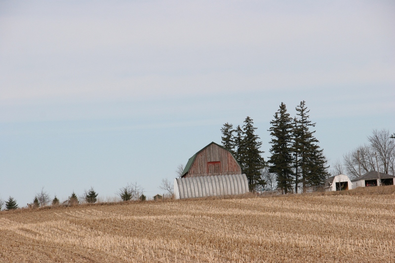 Rural Minnesota, 106 barn and corn stubble