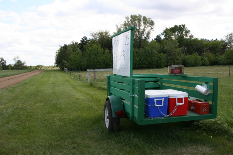 Roadside stand, 94 trailer next to driveway