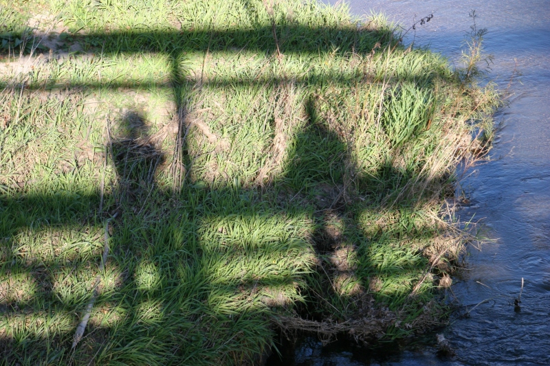 zumbro-river-225-close-up-of-shadows